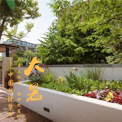 夏日花园的花朵小盘点