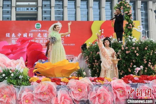 南阳绿意盎然 月季花开正艳