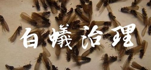 其他防治方法：灯光诱杀、人工捕杀等