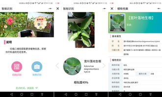 还嫩干嘛？功嫩丰富得你想象不到
