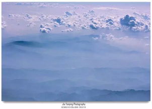 草木清芬润心田， 自然之美的心灵滋养