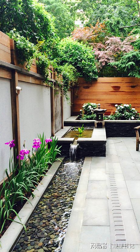 园林庭院设计中的藤本月季