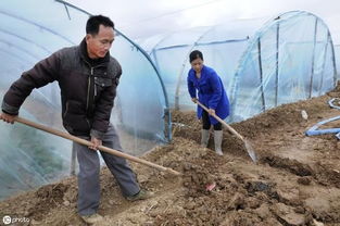 关键点三：市场监测数据