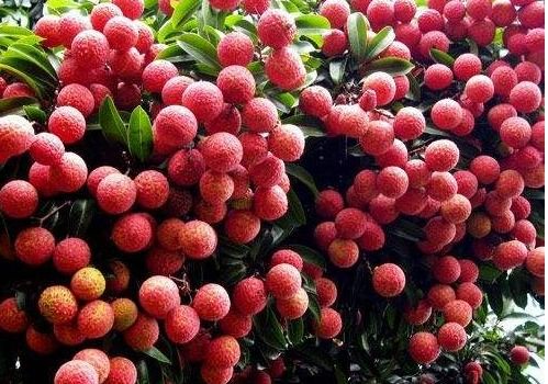 使用方法大揭秘