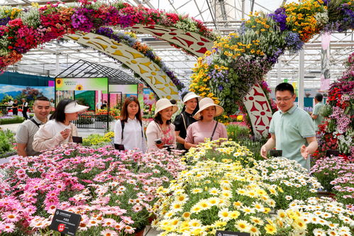 科普区域， 植物学名大揭秘