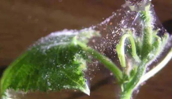 混合使用geng有效