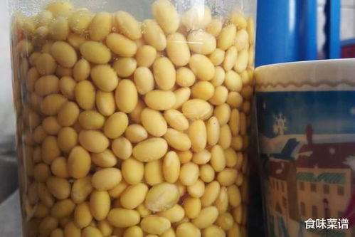 黄豆做肥料需要煮熟吗？煮熟后如何处理才能有效利用