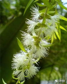 南方秋播：赶着台风尾巴播种，后来啊如何？