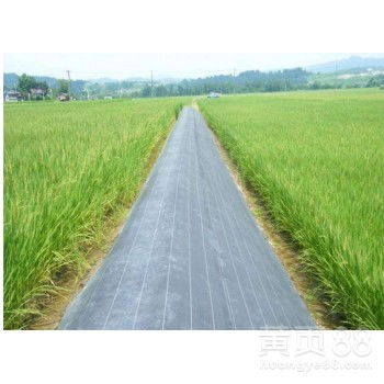 防草布，那个神奇的布料