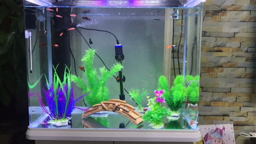 底部、顶部、侧边，哪个是杀菌灯的黄金位置？