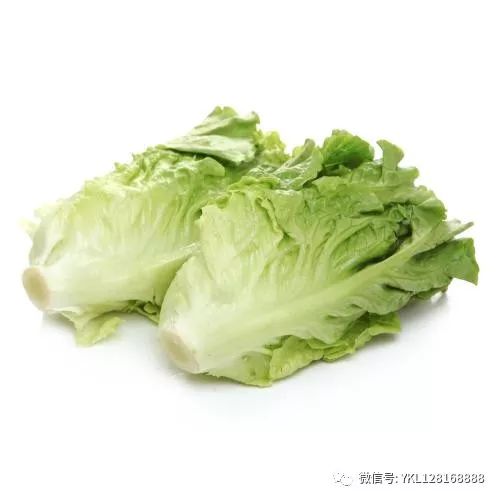 沙拉里的那些绿叶子们