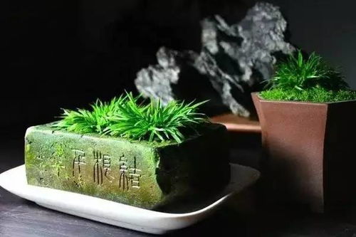 养菖蒲， 让绿色长存的小秘密