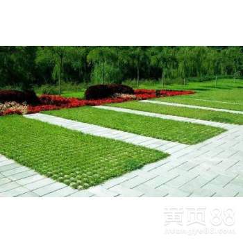 寒害：寒冷中的花卉守护者