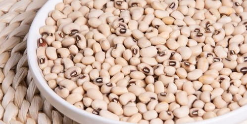 元阳县正芬水果种植园老师您好，惯与羊角蜜种子的问题