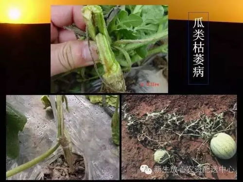 1. 平安第一