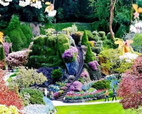 四季花园的奇妙之旅