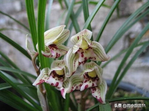 误区一：越浓越好