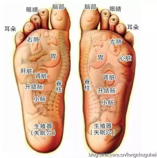 第四步：放置位置， 通风又阳光