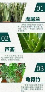 红苕根与水质净化：真相大白