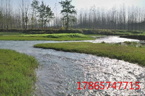 栽种时间，讲究天时地利人和