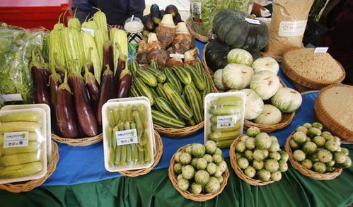 “绿色金子”在哪里