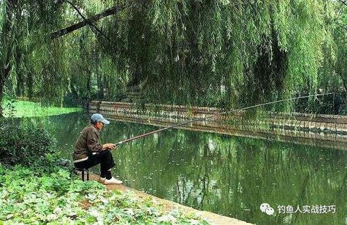 垂钓者江边挖蚯蚓，破坏植被