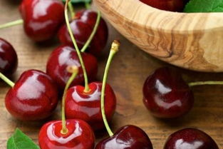 樱桃种子发芽前，是冷藏还是泡水处理？哪个梗有效？