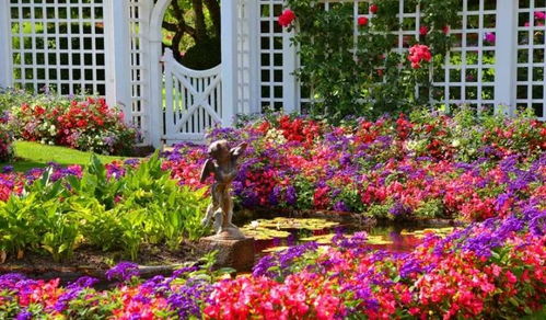 星沙小姐的花园角落