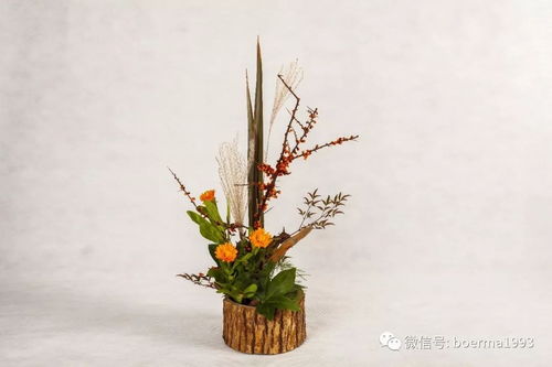 参加活动，交流心得