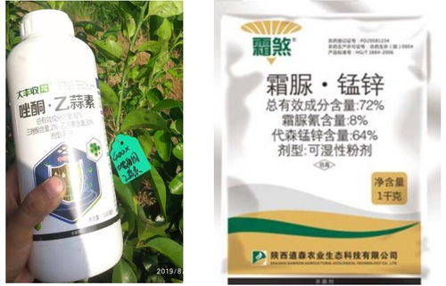苹果叶红斑病的困扰与多菌灵的疗效探究