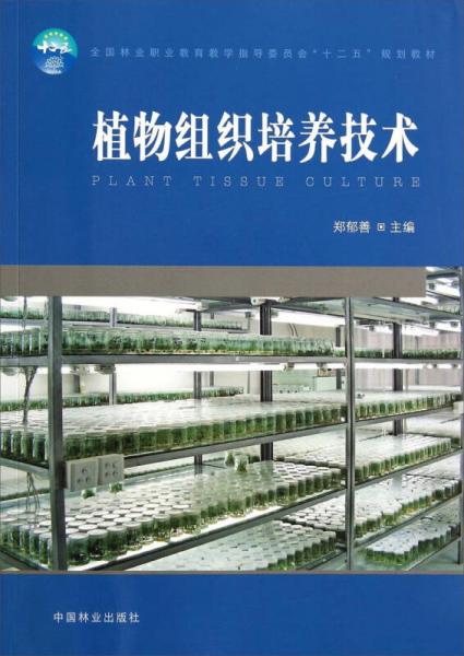植物组织有哪些？它们是如何协同工作的