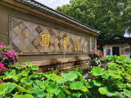 园林大师们的风采