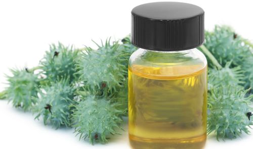揭秘茶树油：茶叶中的天然奥秘