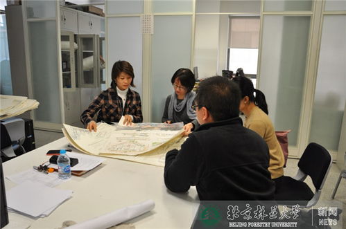 本科教育课程：揭秘中