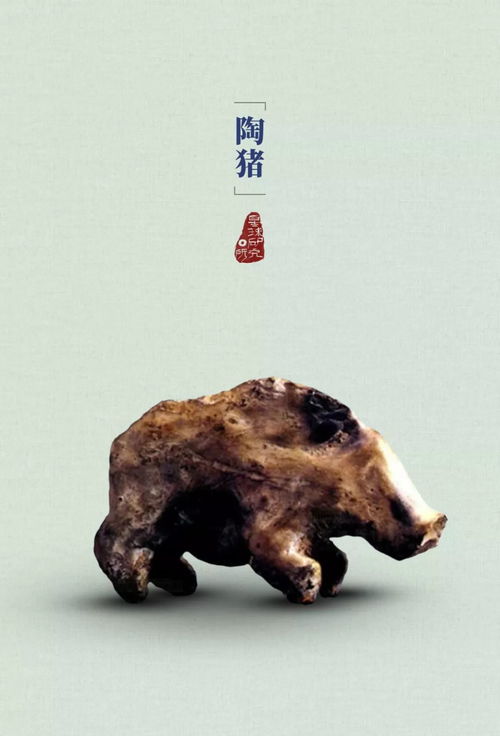 能养穿山甲吗？合法合规才能安心养