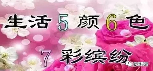 “传递快乐，花语祝福，愿你常开颜~”