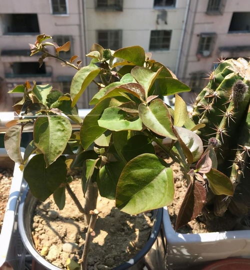 秋季，这是个啥季节？