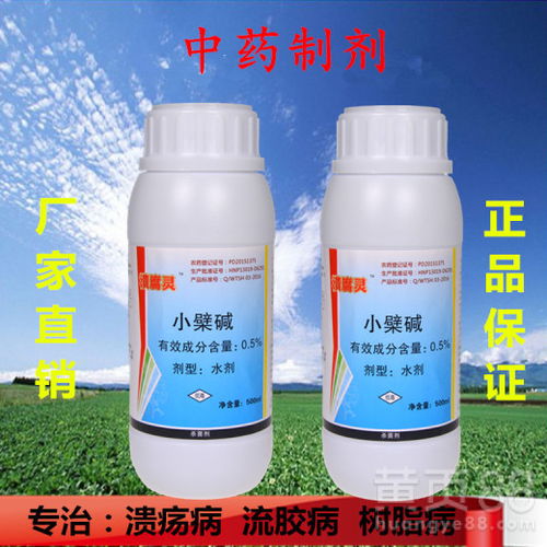 樱桃病害防治大揭秘：那些年我们一起用的杀菌剂