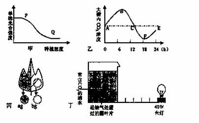 光照是农业养殖中不可或缺的生态要素
