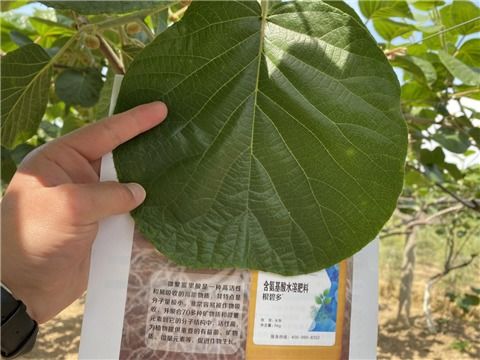 甲维灭幼脲的神秘面纱