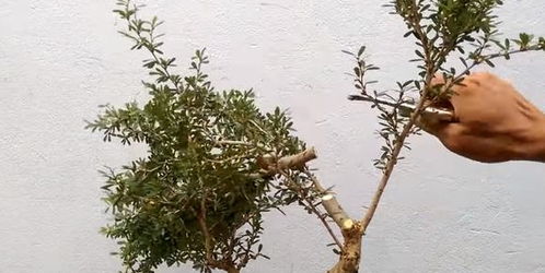 起手式， 铝丝的魔法之旅