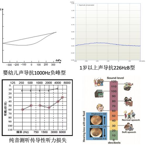 杉木（T