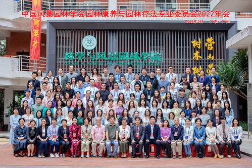 园艺疗法：让心灵在绿色中放松