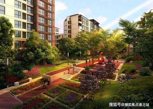 6. 灌木在园林设计中的应用