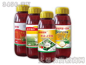 大蒜田苗后除草剂的选择及使用方法