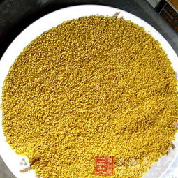 小米怎么吃最健康？它的功效与作用及禁忌有哪些