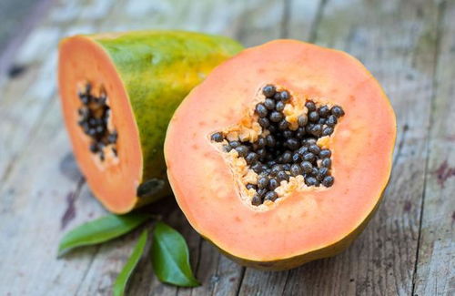 有机肥料的重要性