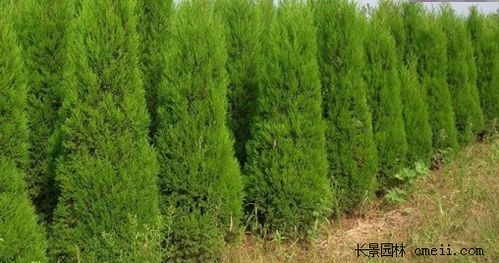 地域别名，各有千秋