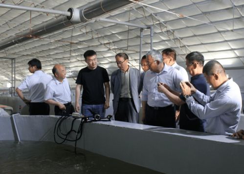 重庆合川王小丽返乡创业，养殖蚯蚓