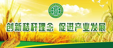 如何从绿色饲料创新出发，开拓农村散养户市场，实现饲料行业新增长？